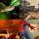 Illustration for article titled Wildfires, Invasive Snakes, and Saying Goodbye to a Legend: Best Gizmodo Stories of the Week